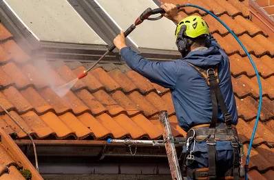 Démoussage et hydrofuge de toiture à Noue